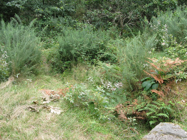 Dolmens de Toulvern